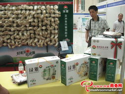 智能制造新紀元 歷屆工廠化會展特裝展位的技術咨詢與實踐